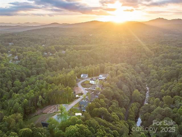162 Riverbend Forest Dr, Asheville, NC 28805 - aerial view at dusk featuring a wooded view and a mountain view