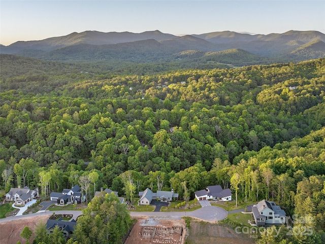 162 Riverbend Forest Dr, Asheville, NC 28805 - drone / aerial view featuring a mountain view and a view of trees