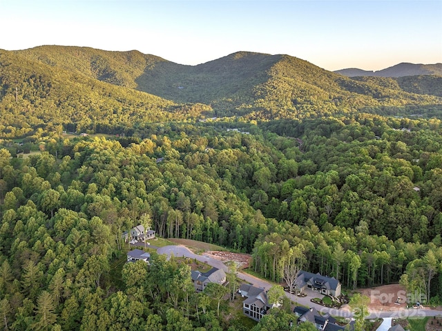 162 Riverbend Forest Dr, Asheville, NC 28805 - birds eye view of property featuring a wooded view and a mountain view