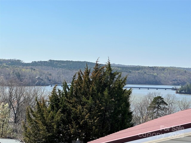 167 Eagle Dr, New London, NC 28127 - photo 22
