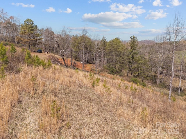 2311 Freemantown Rd, Lake Lure, NC 28746 - view of nature with a view of trees