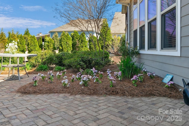 view of yard featuring a patio