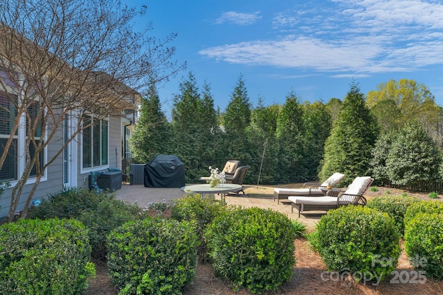 view of patio featuring grilling area