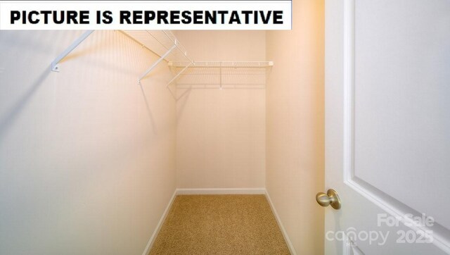 spacious closet with carpet