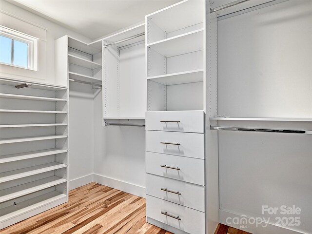35 Douglas Pl, Asheville, NC 28803 - photo 17