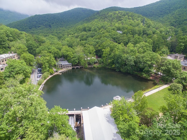 102 Kanawha Dr, Montreat, NC 28757 - drone / aerial view with a view of trees and a water and mountain view