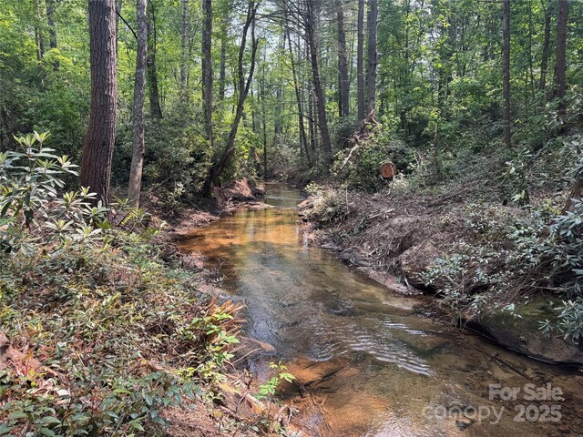 45 Stones Lake Rd, Cedar Mountain, NC 28718 - photo 5