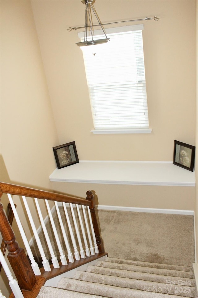 staircase featuring carpet