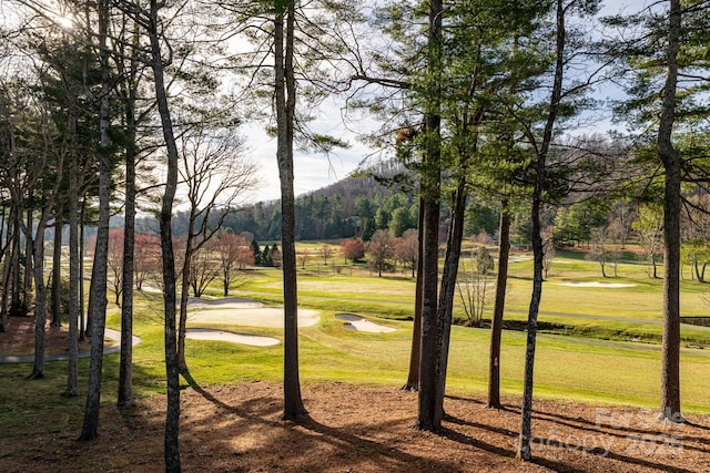 155 Winding Meadows Dr, Flat Rock, NC 28731 - photo 2