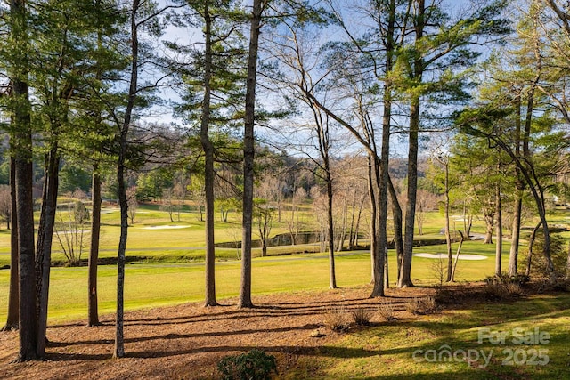 155 Winding Meadows Dr, Flat Rock, NC 28731 - photo 46