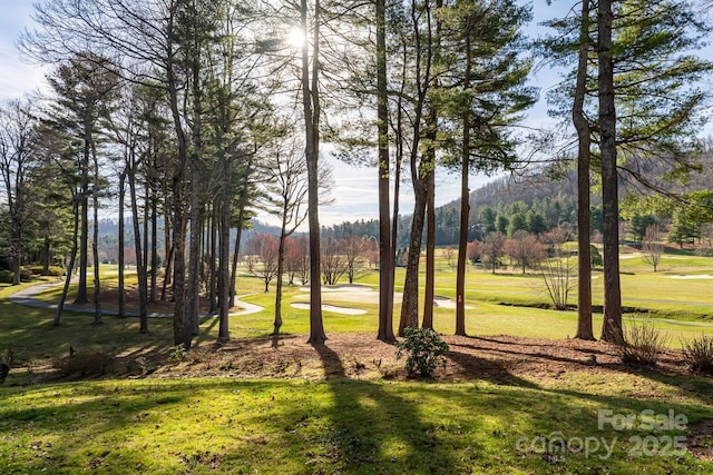 155 Winding Meadows Dr, Flat Rock, NC 28731 - photo 47