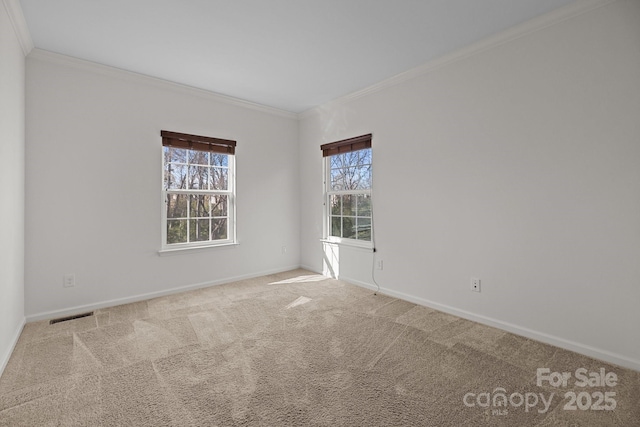 carpeted spare room with a wealth of natural light, visible vents, and crown molding