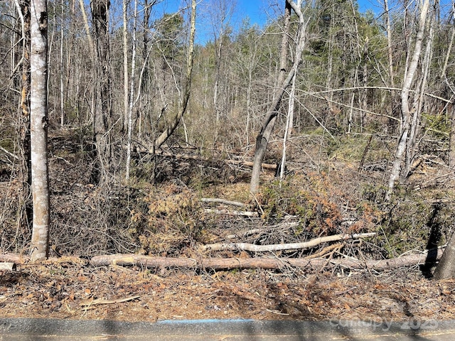 85 Union Chapel Rd, Weaverville, NC 28787
