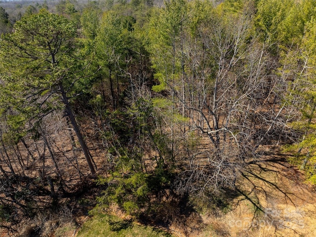 85 Union Chapel Rd, Weaverville, NC 28787