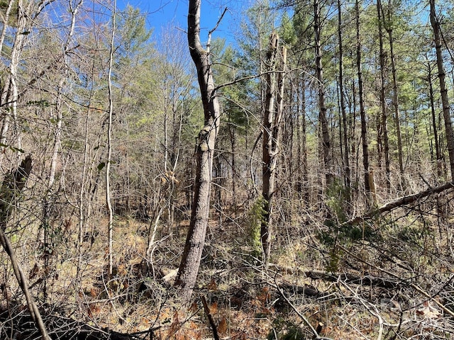 85 Union Chapel Rd, Weaverville, NC 28787