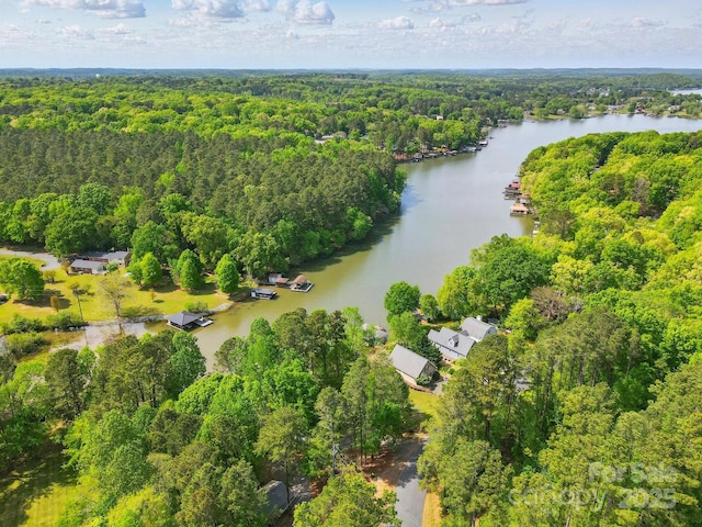 9711 Pine Tree Rd, Norwood, NC 28128 - aerial view featuring a view of trees and a water view
