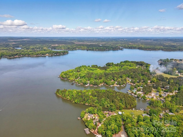 9711 Pine Tree Rd, Norwood, NC 28128 - drone / aerial view with a view of trees and a water view