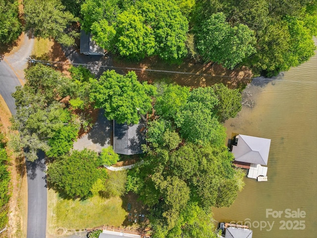 9711 Pine Tree Rd, Norwood, NC 28128 - birds eye view of property