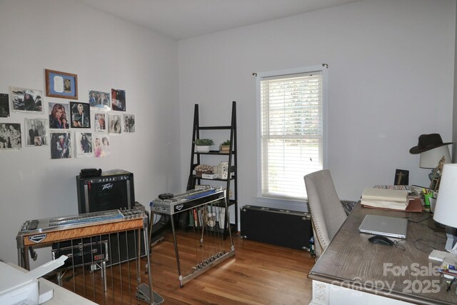 office space featuring wood finished floors