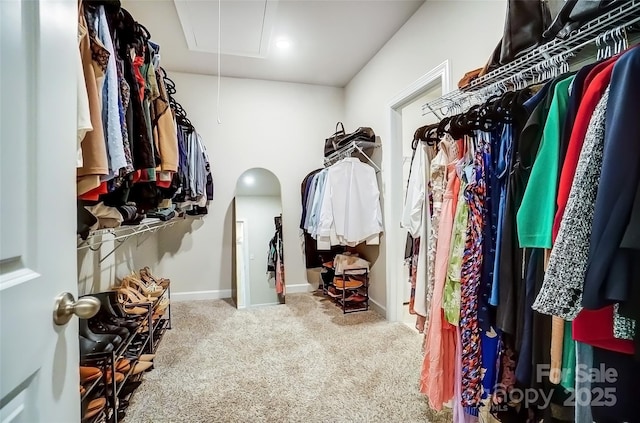 4337 Duplin Dr, Charlotte, NC 28214 - walk in closet featuring carpet flooring, arched walkways, and attic access
