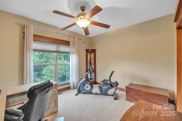 298 Poplar Grove Ct, Taylorsville, NC 28681 - office featuring carpet floors, baseboards, and a ceiling fan