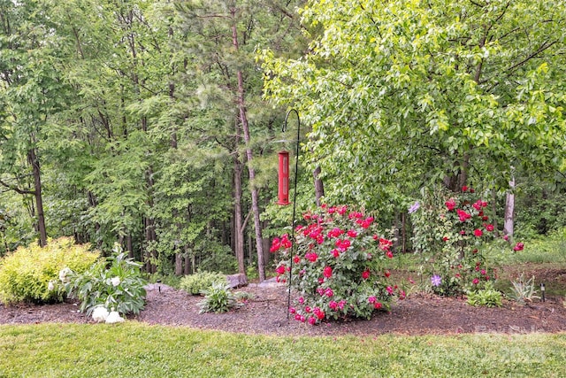 298 Poplar Grove Ct, Taylorsville, NC 28681 - view of yard