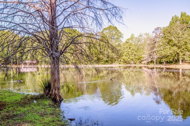 water view