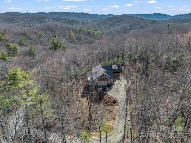 1115 Salola Ln, Brevard, NC 28712 - photo 39