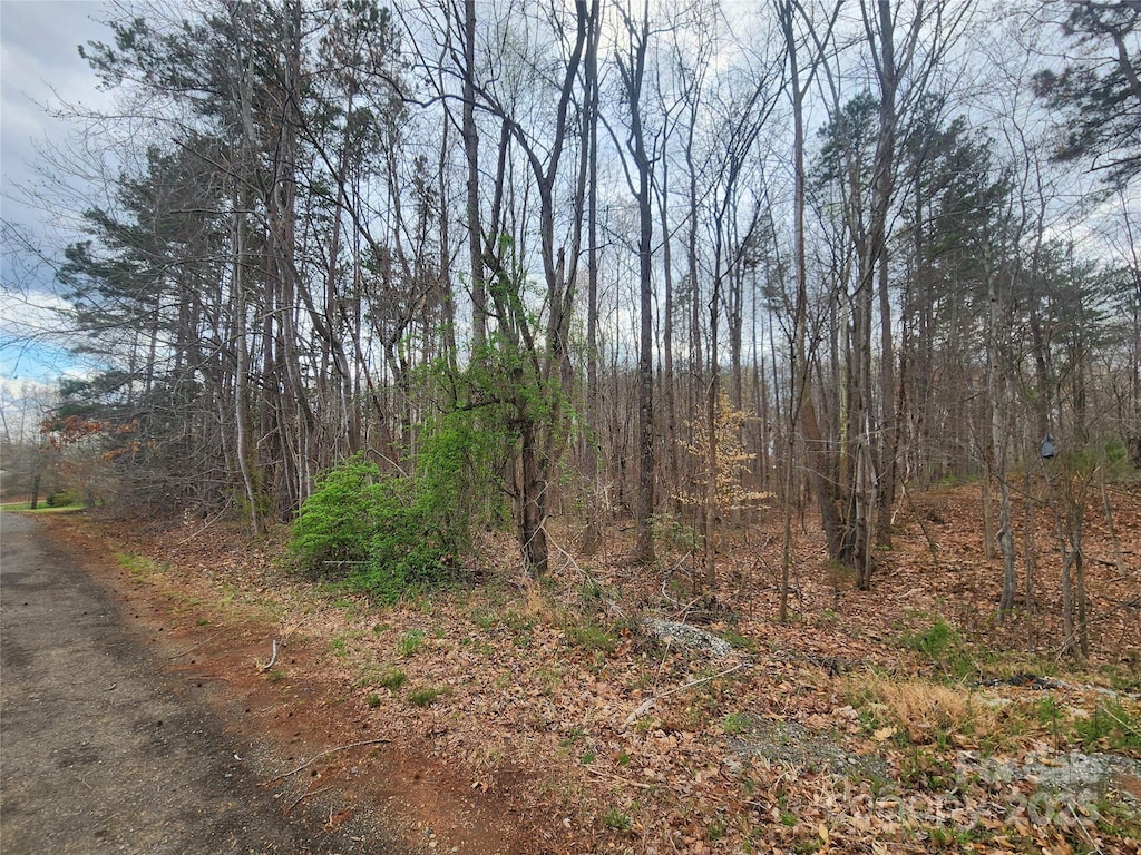 00 Lake Shore Ave, Lexington, NC 27292 - photo 3