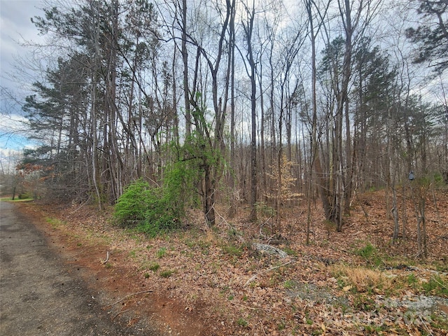 00 Lake Shore Ave, Lexington, NC 27292 - photo 3