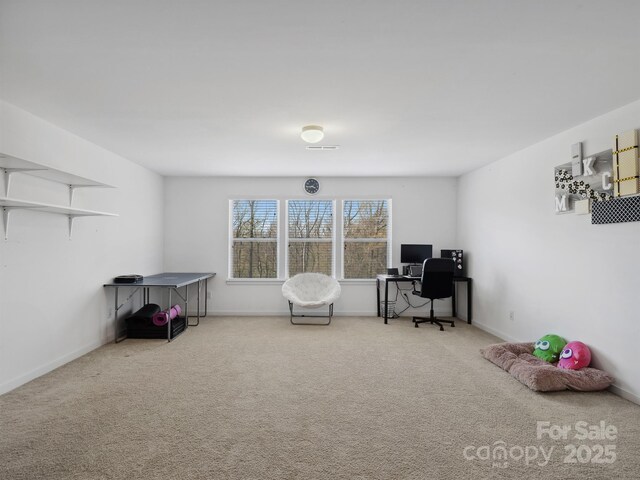 8137 Bryson Rd, Fort Mill, SC 29707 - photo 27