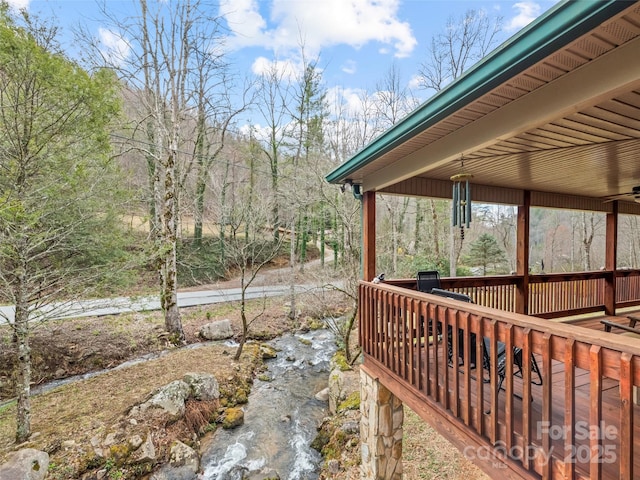 3975 Mountain Creek Rd, Robbinsville, NC 28771 - exterior space