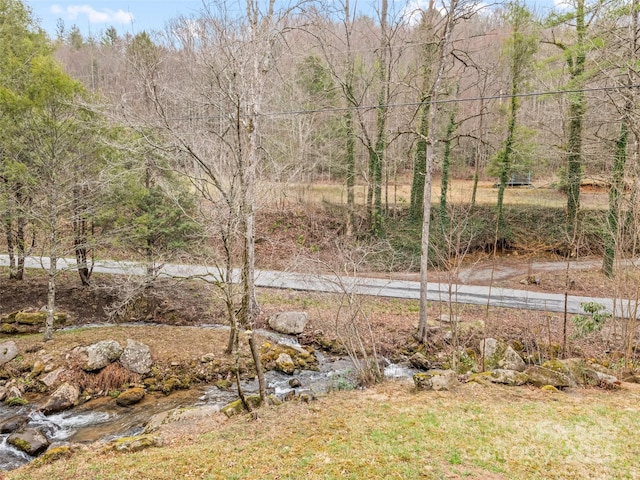 3975 Mountain Creek Rd, Robbinsville, NC 28771 - view of yard
