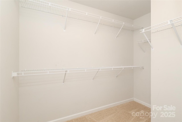 8232 Waxhaw Hwy, Waxhaw, NC 29173 - spacious closet with carpet