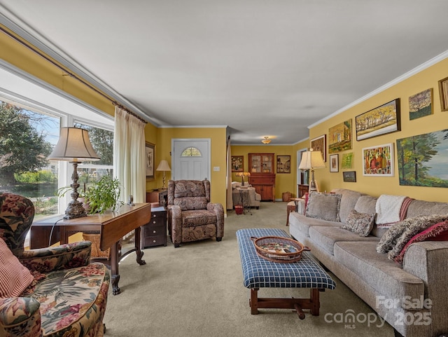 carpeted living area featuring crown molding