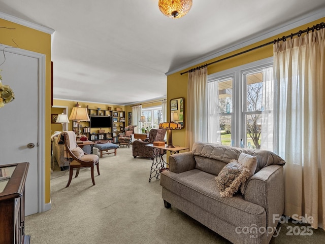 living room with carpet flooring and crown molding