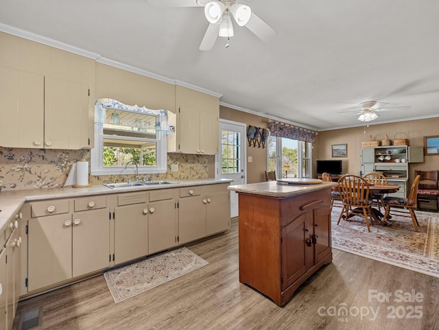 kitchen with visible vents, ceiling fan, ornamental molding, a sink, and light wood-type flooring