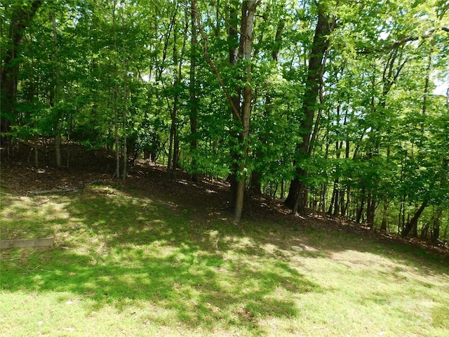 view of grassy yard