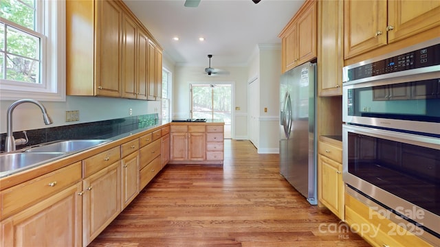 kitchen with appliances with stainless steel finishes, a sink, a ceiling fan, light wood finished floors, and ornamental molding