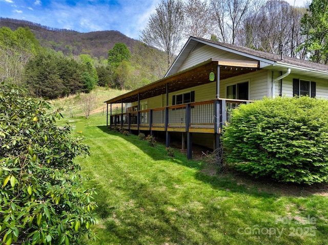 1567 Newfound Rd, Leicester, NC 28748