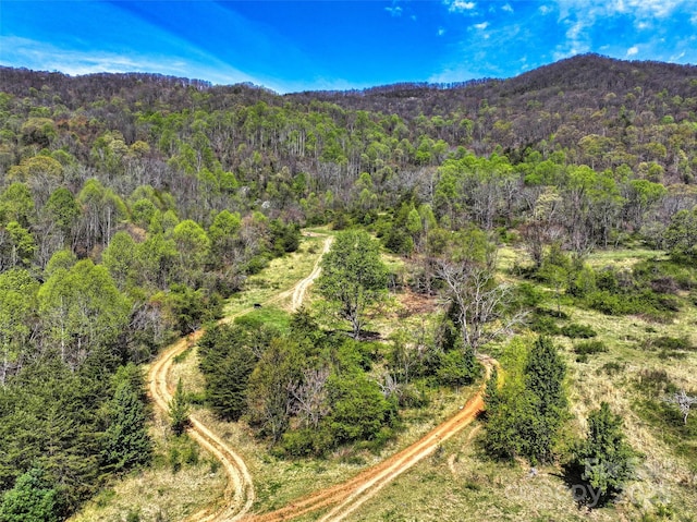 1567 Newfound Rd, Leicester, NC 28748