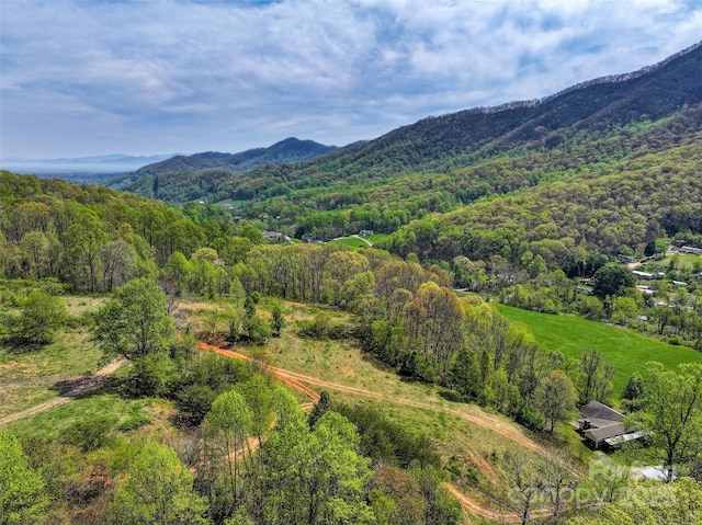 1567 Newfound Rd, Leicester, NC 28748