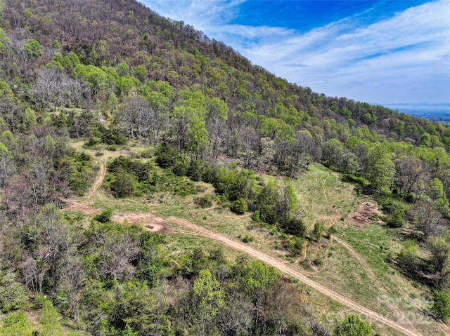 1567 Newfound Rd, Leicester, NC 28748
