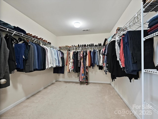 11621 Red Knoll Ln, Pineville, NC 28134 - walk in closet with carpet floors
