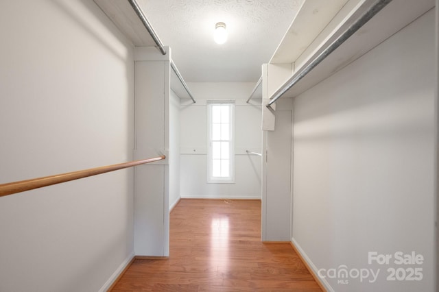 spacious closet featuring light wood finished floors