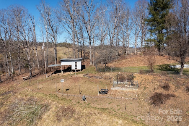 view of yard featuring a carport, an outbuilding, and a vegetable garden