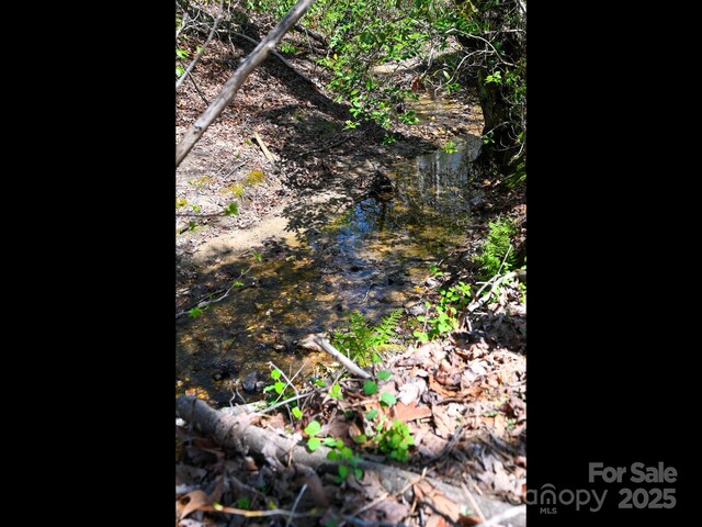 3855 Peniel Rd, Tryon, NC 28782 - view of local wilderness