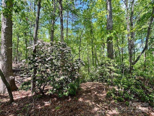 3855 Peniel Rd, Tryon, NC 28782 - view of landscape featuring a view of trees