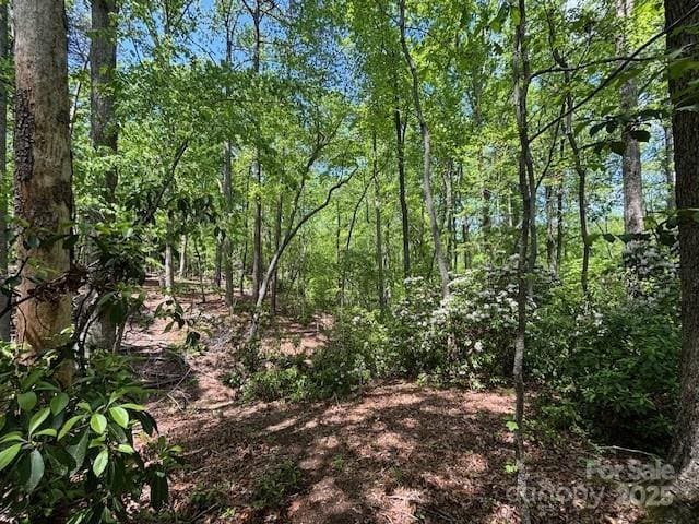 3855 Peniel Rd, Tryon, NC 28782 - view of landscape with a forest view