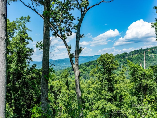 138 Appalachian Village Rd, Asheville, NC 28804 - photo 20